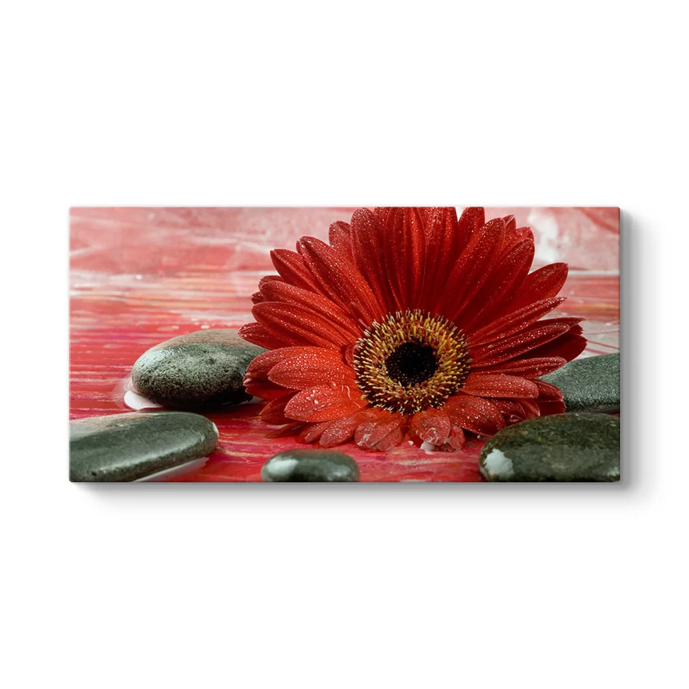 Gerbera ve Siyah Taşlar Tablosu - Model 5